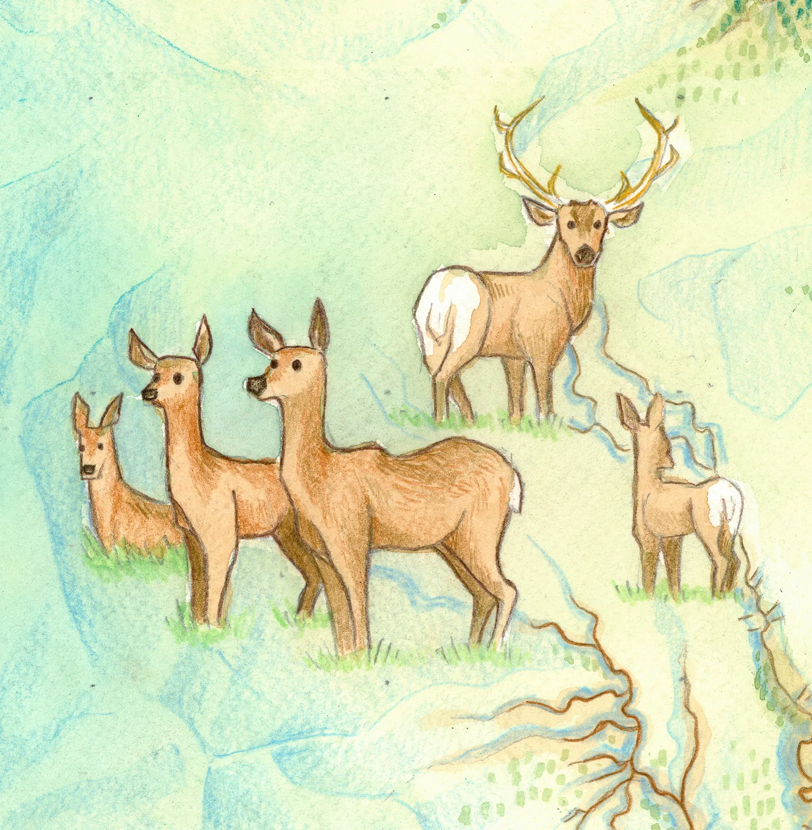 Illustrated 2D ranch and estate map — private land cartography by Maddy Grubb