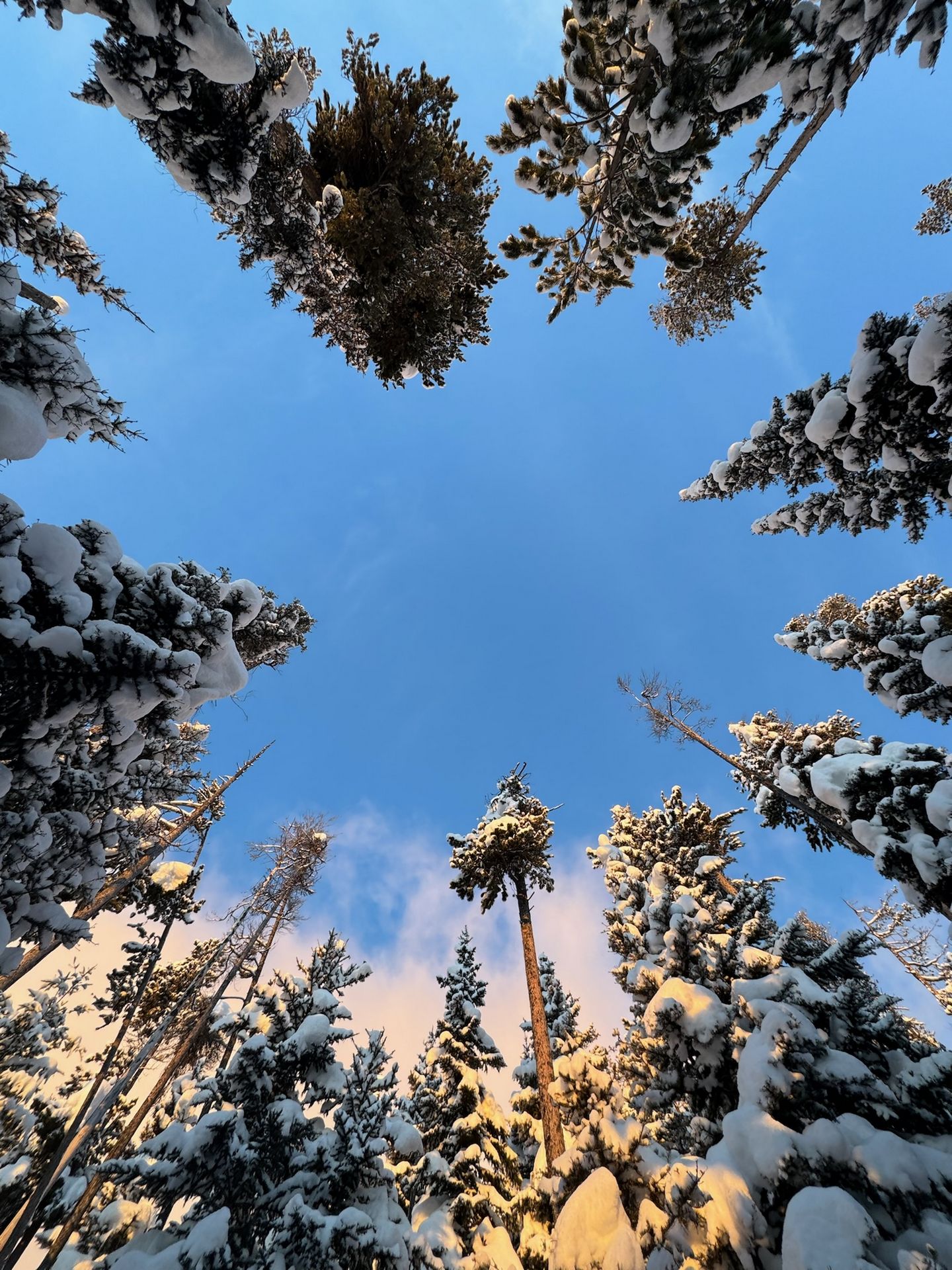 Grand Teton winter alpine terrain