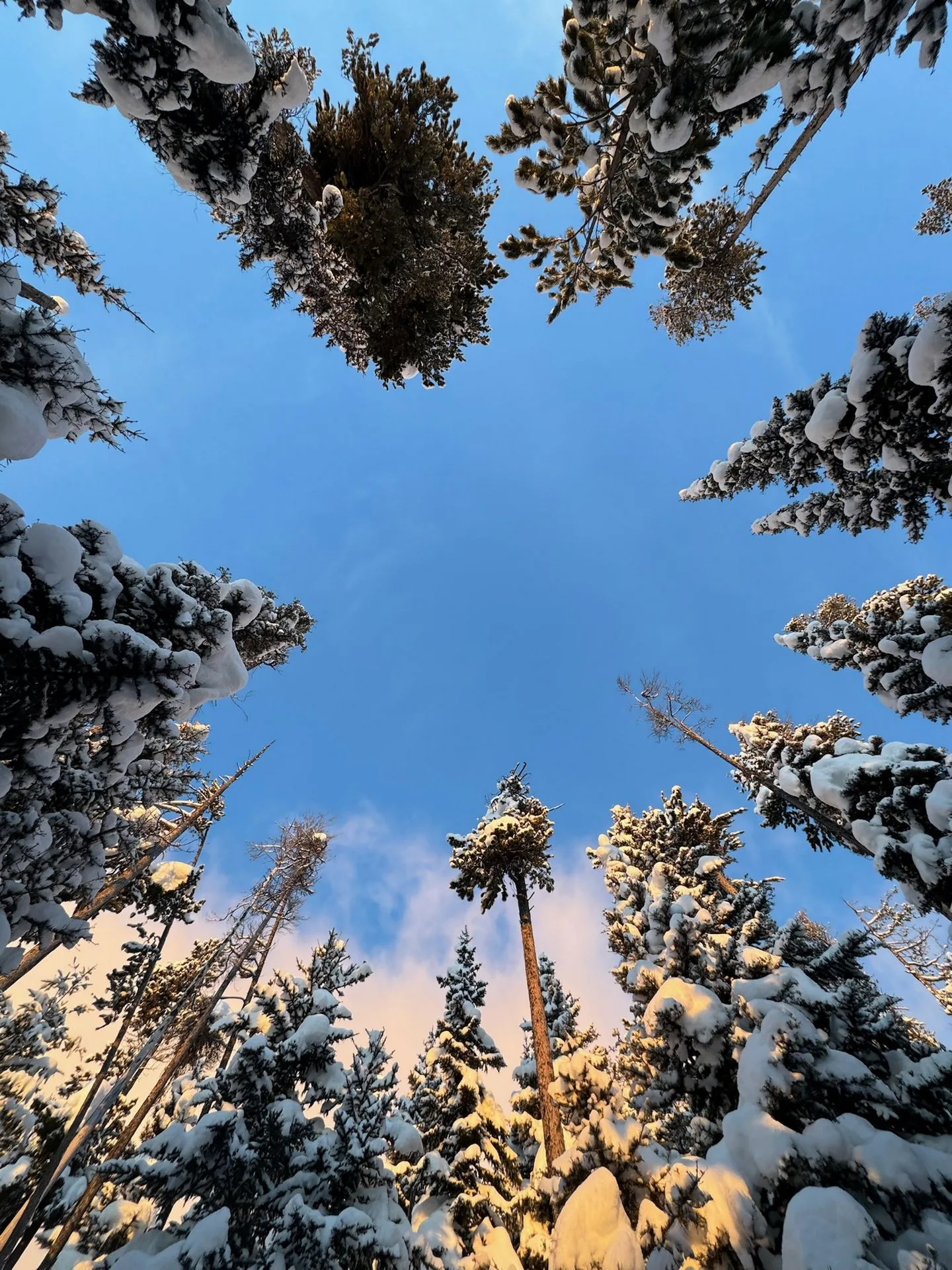 Grand Teton winter alpine terrain