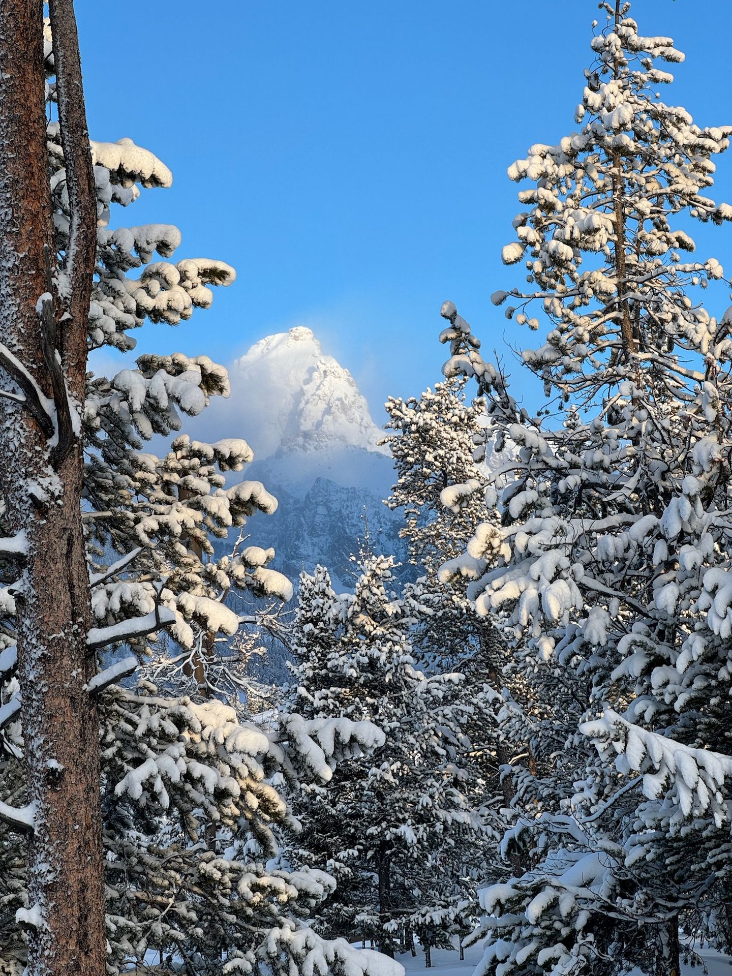 Backcountry skiing in the Teton Range in winter